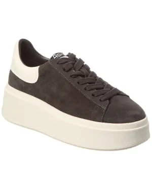 Ash Moxie Suede Platform Sneaker