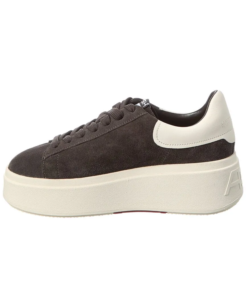 Ash Moxie Suede Platform Sneaker
