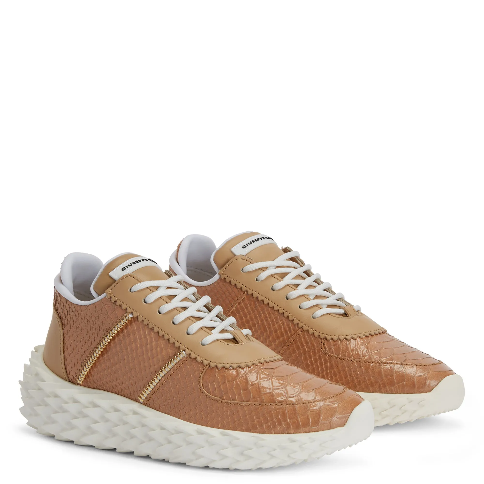 Giuseppe Zanotti Urchin