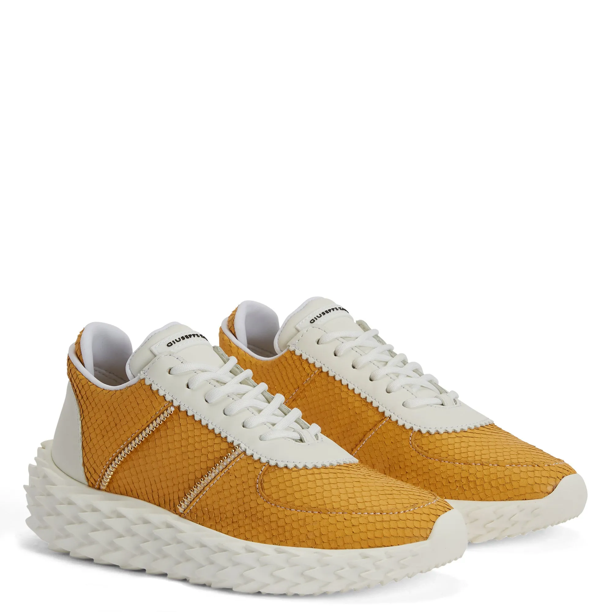 Giuseppe Zanotti Urchin