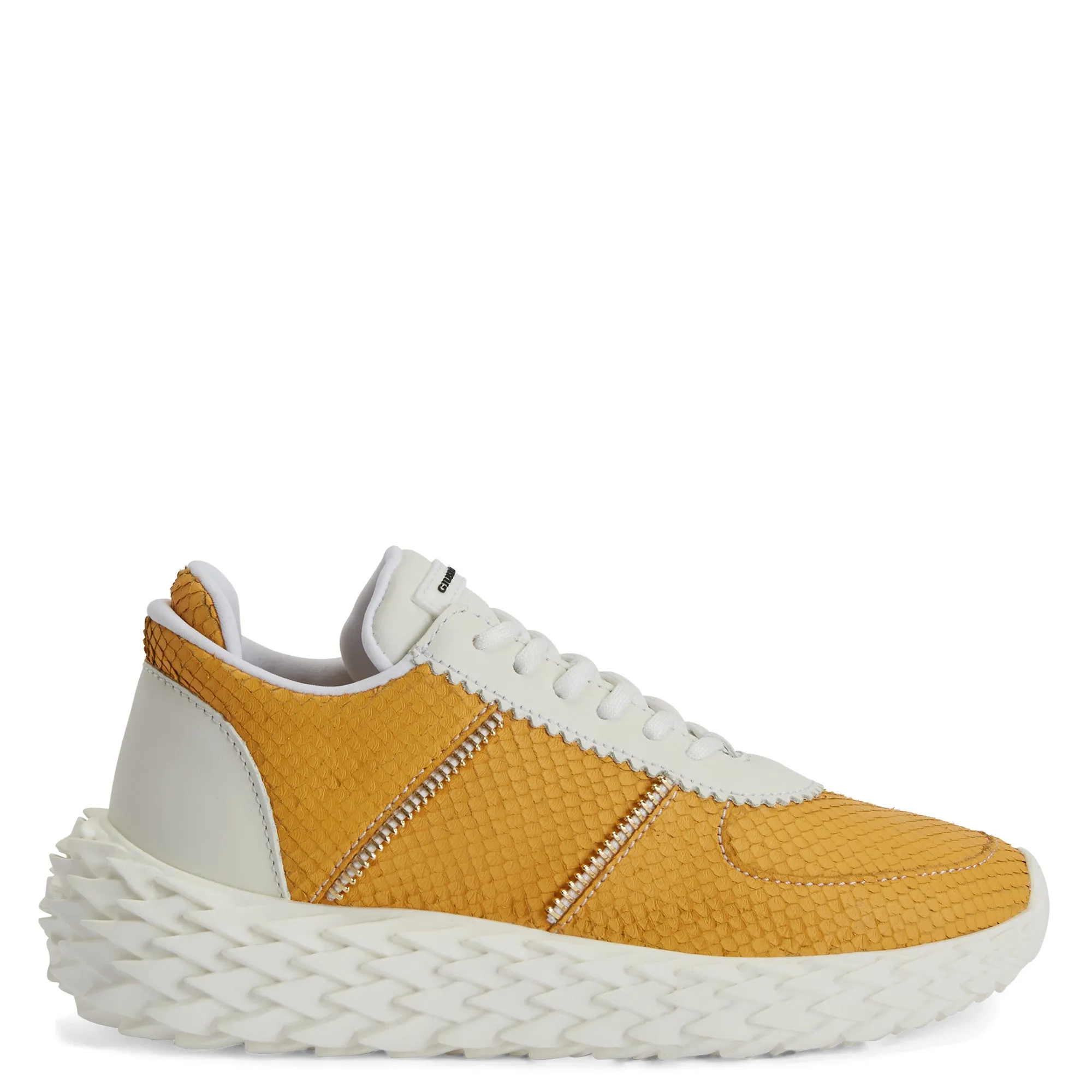 Giuseppe Zanotti Urchin