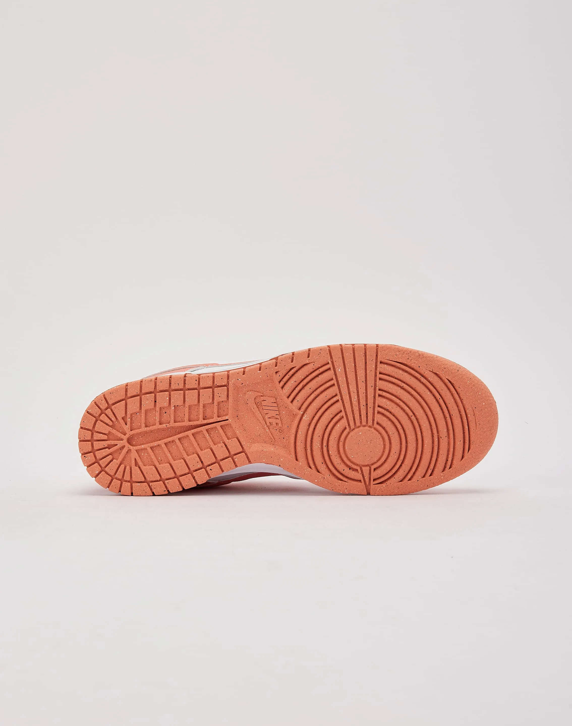 Nike Dunk Low Next Nature